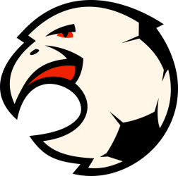 Rochester Eagles FC badge